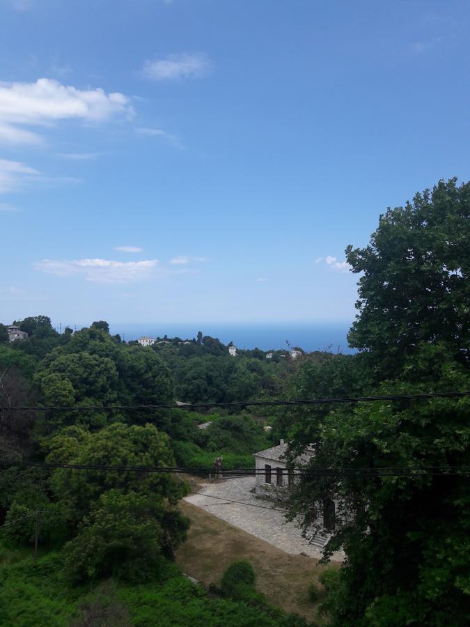 Αρχοντικό Κονάκι- Konaki Pelion Цагкарада Екстер'єр фото